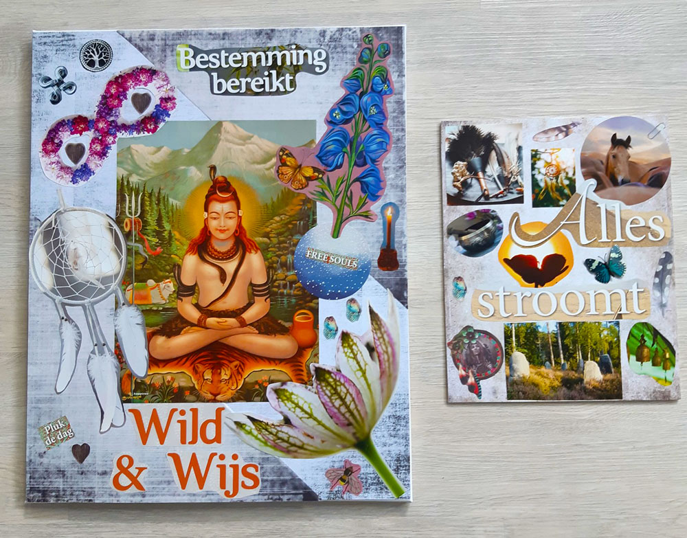 Vision Board Workshop Leef Je Dromen Soul Balance